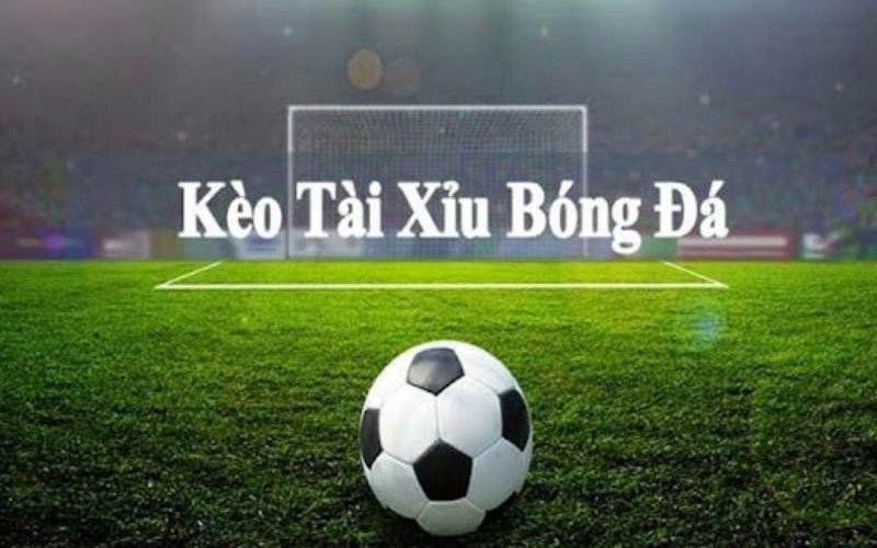 Kèo tài xỉu Nohu